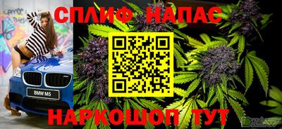 дживик Шелехов