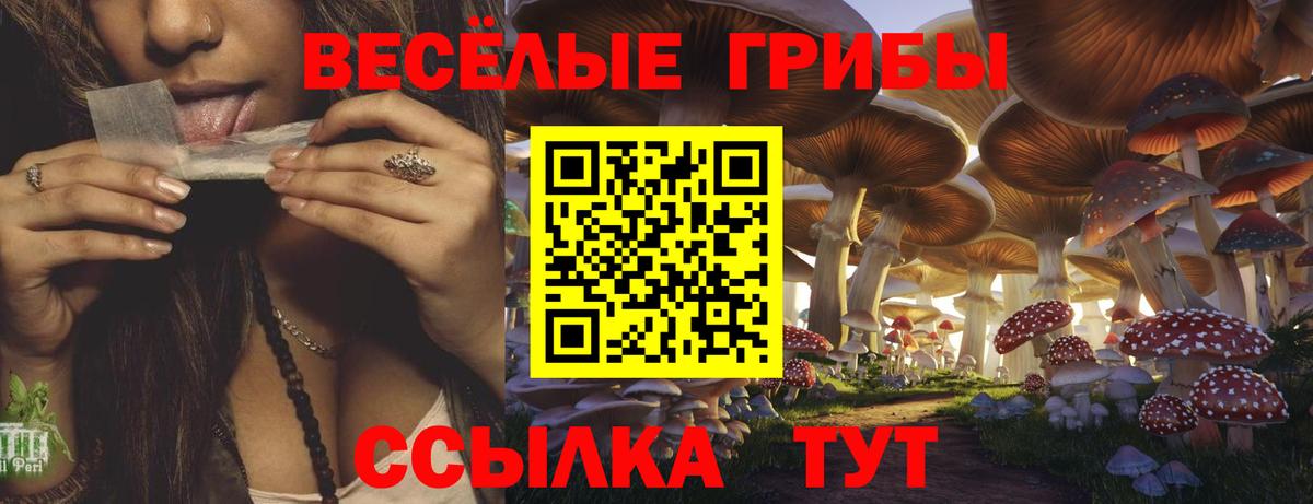 Аргун  Галлюциногенные грибы ЛСД  Вход с VPN 