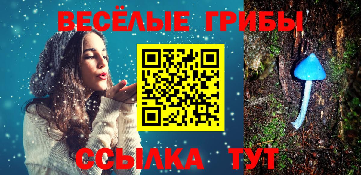 Псилоцибиновые грибы прущие грибы Аргун
