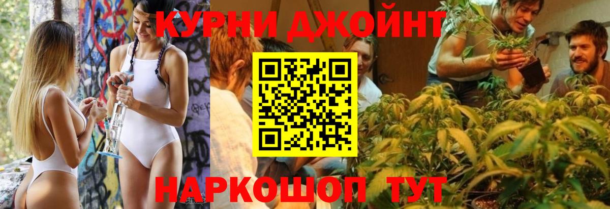 МАРИХУАНА ГИДРОПОН Аргун